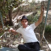alirezaraz21